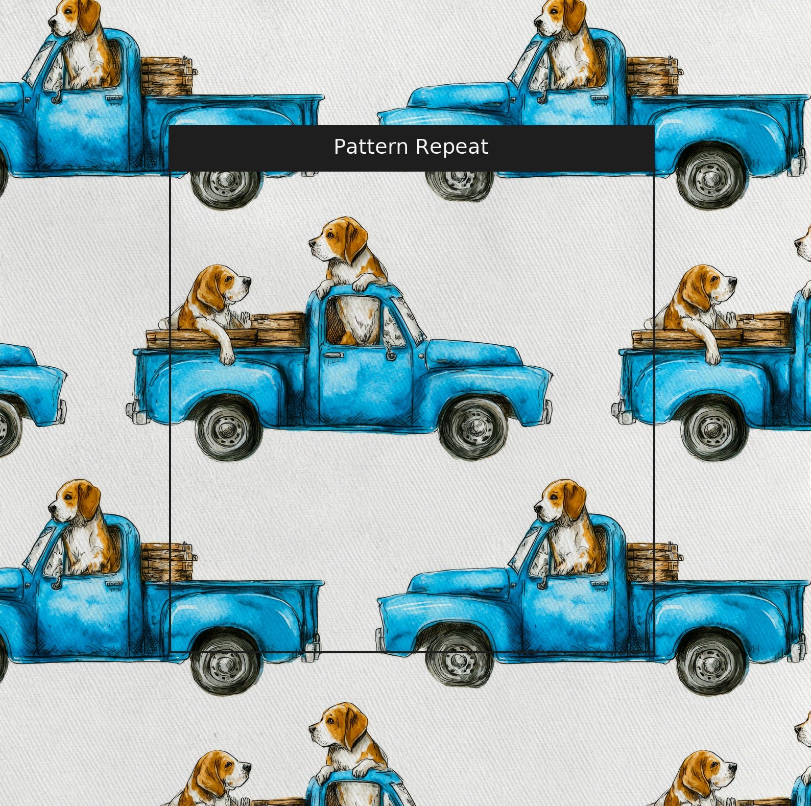 LR224371 pattern