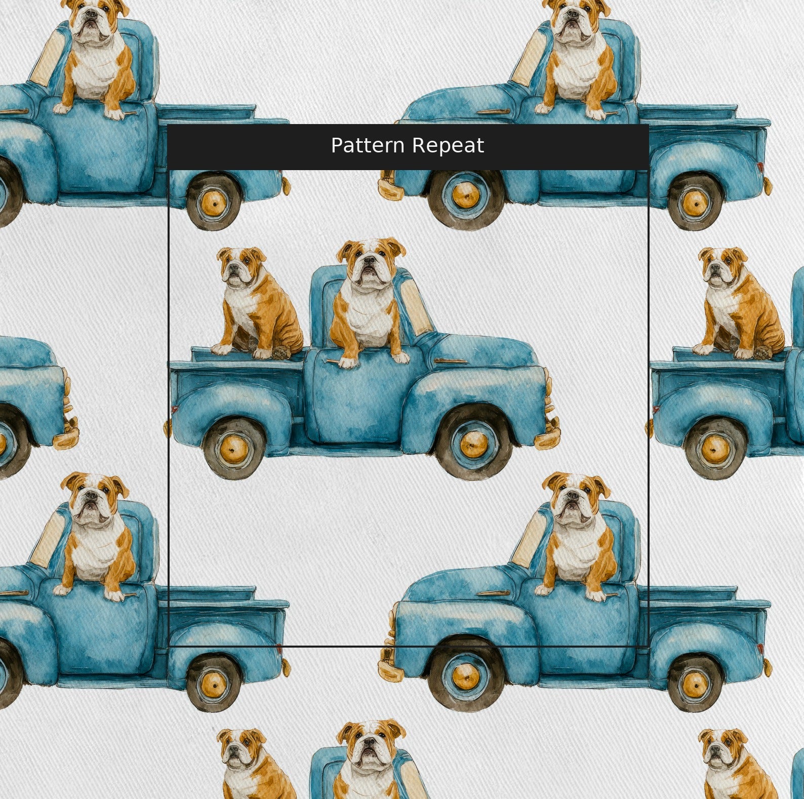LR429486 pattern