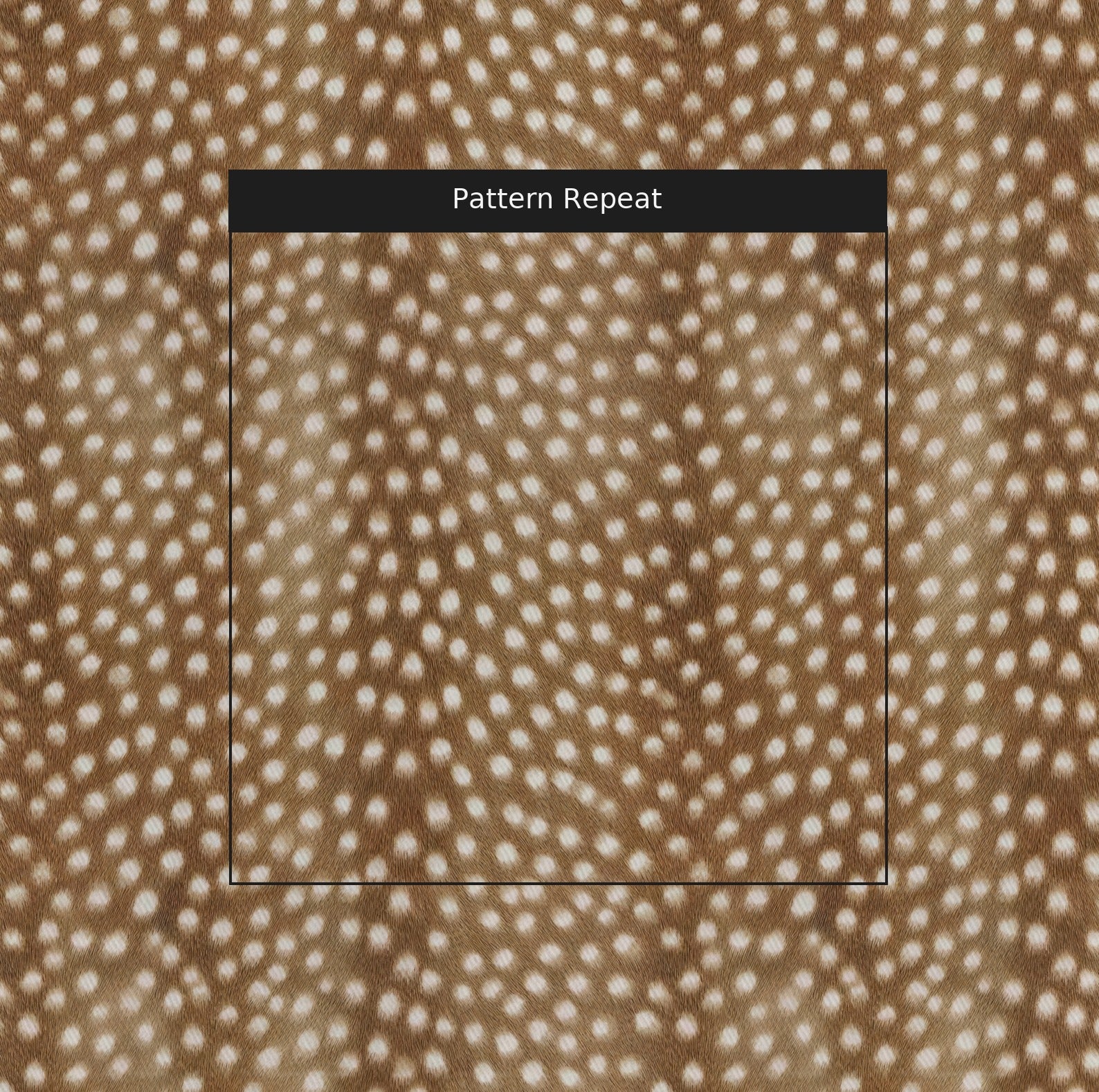 LR593021 pattern
