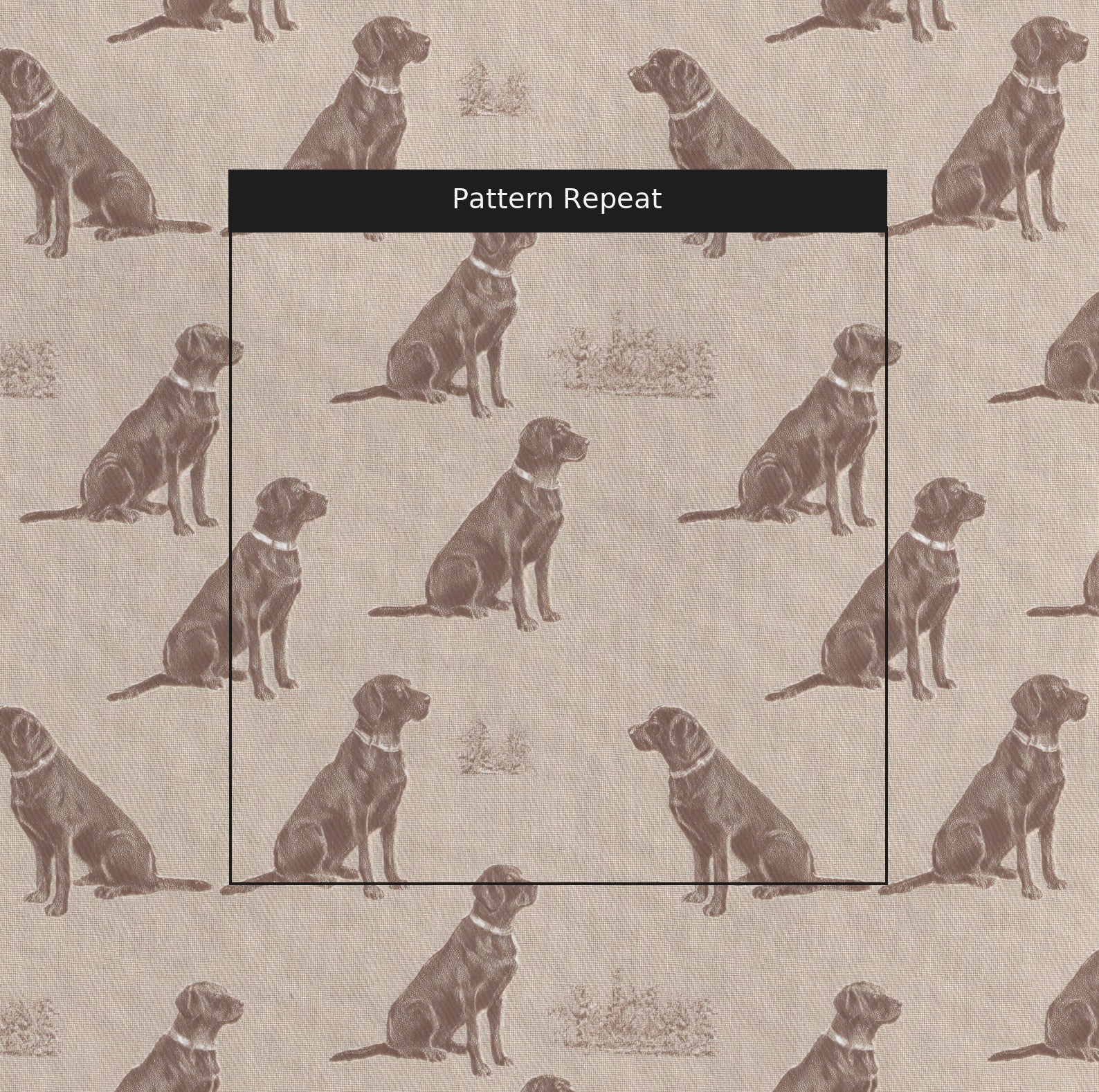 LR812364 pattern