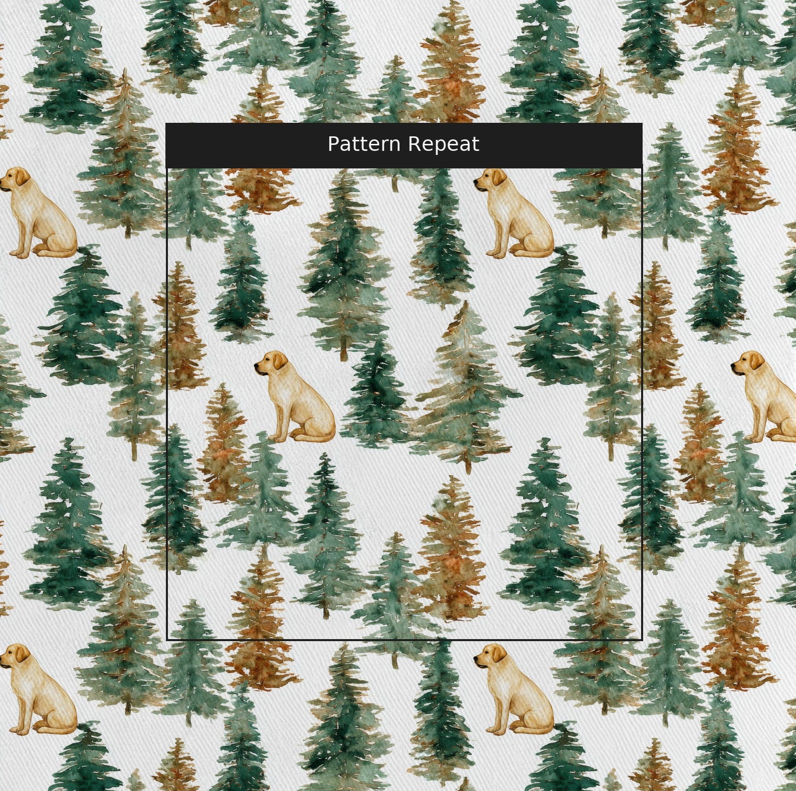 LR897219 pattern