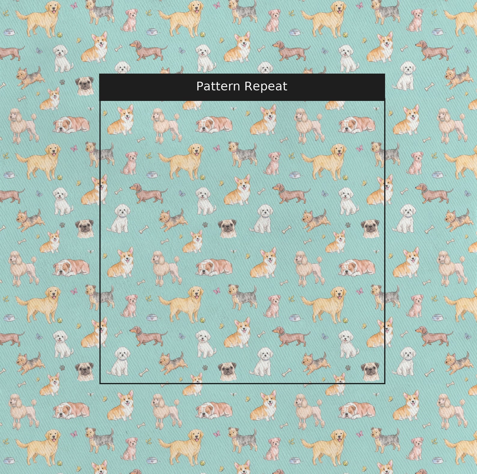 LR922265 pattern
