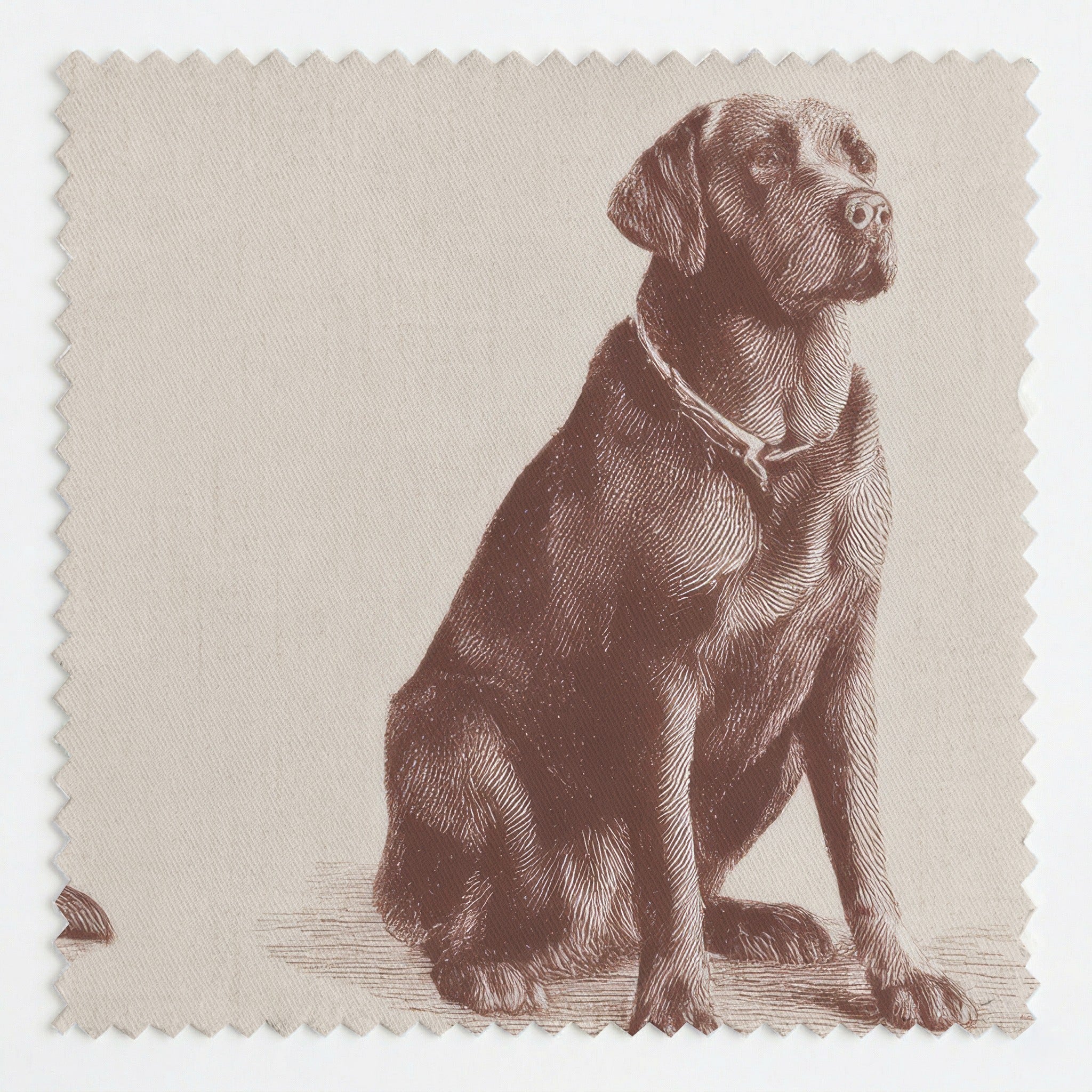 Chocolate Lab Tonal Print - Fabric - Linen Rowe