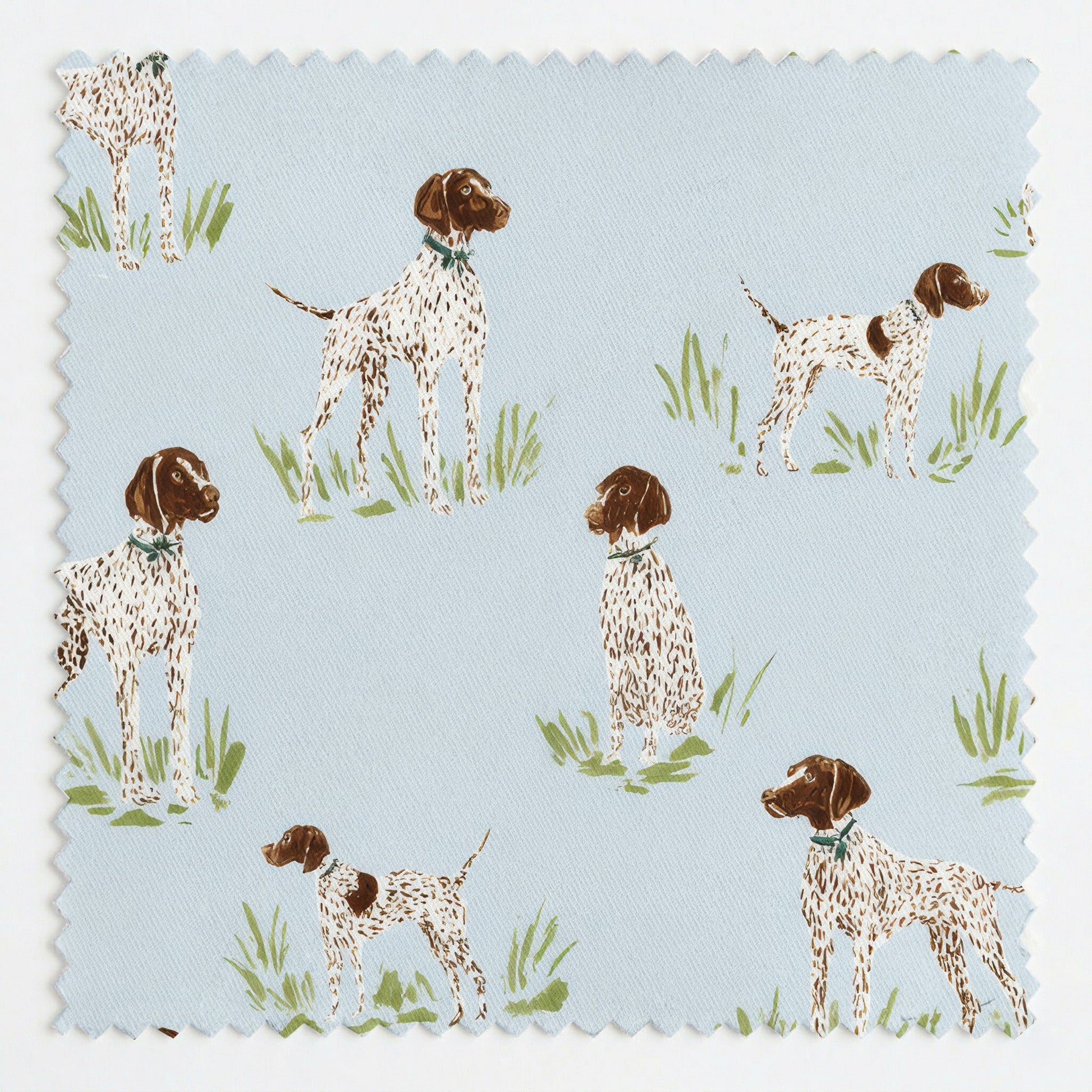 Pointer Sky - Fabric - Linen Rowe