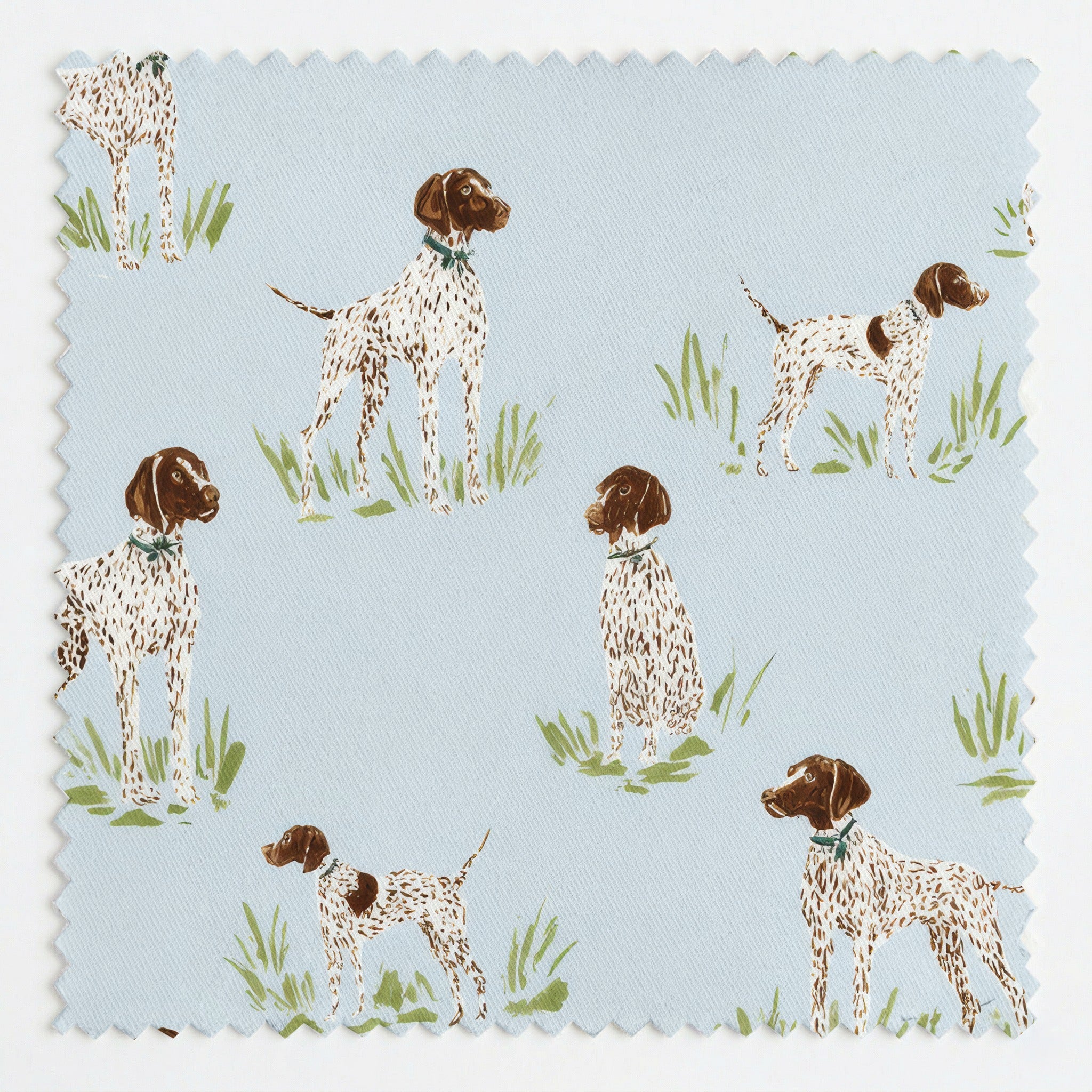 Pointer Sky - Fabric - Linen Rowe
