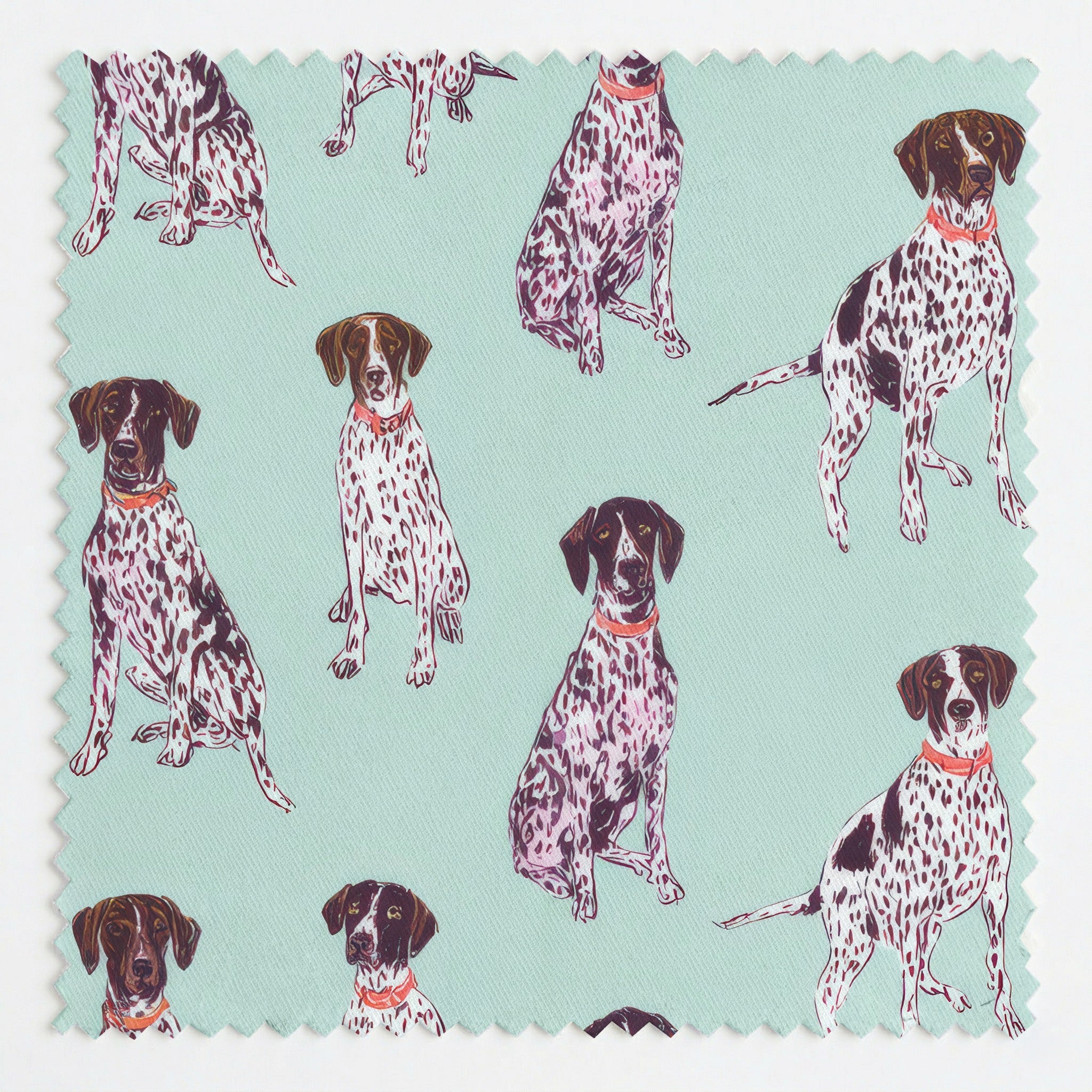 Pointing GSP - Fabric - Linen Rowe
