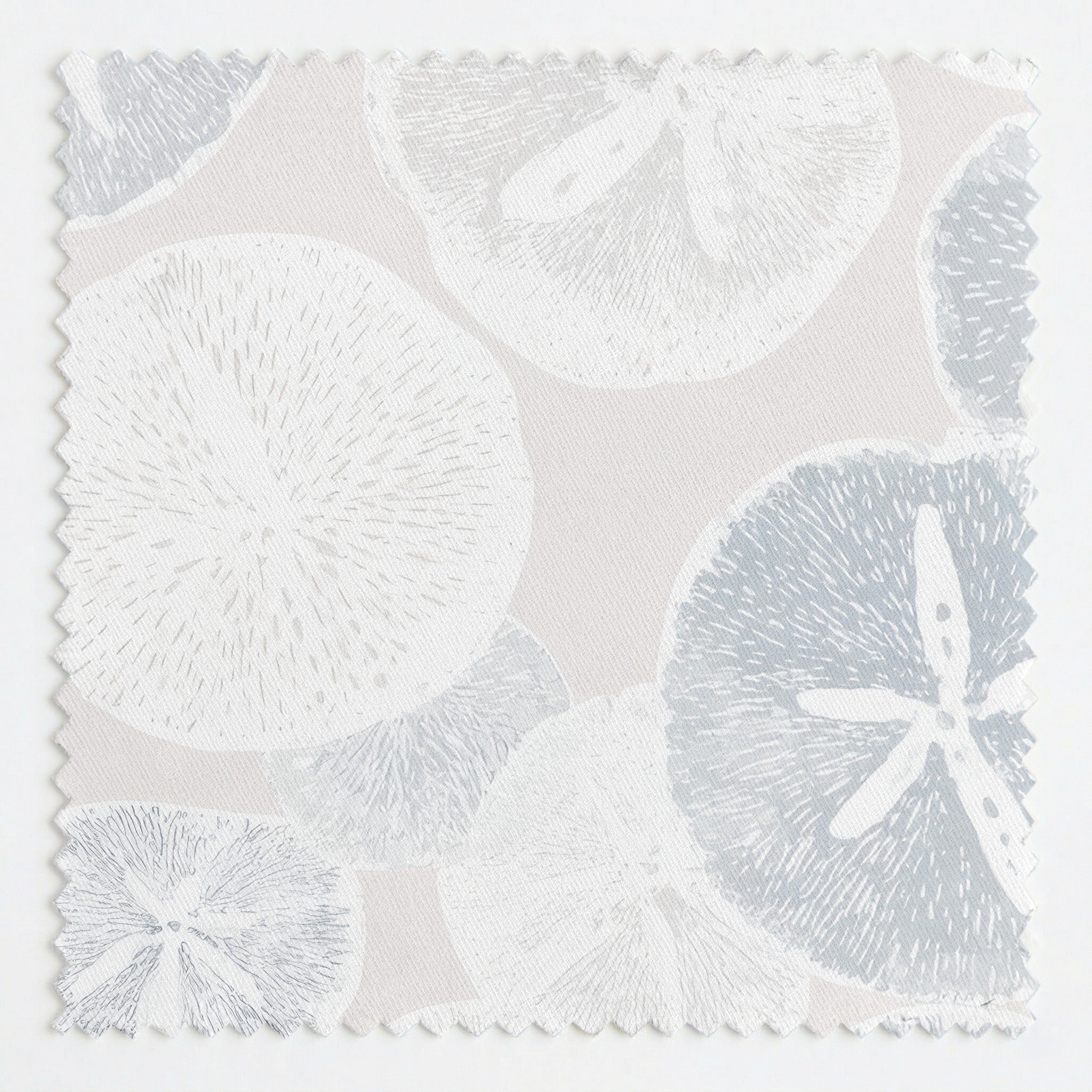 Sand Dollars - Fabric - Linen Rowe