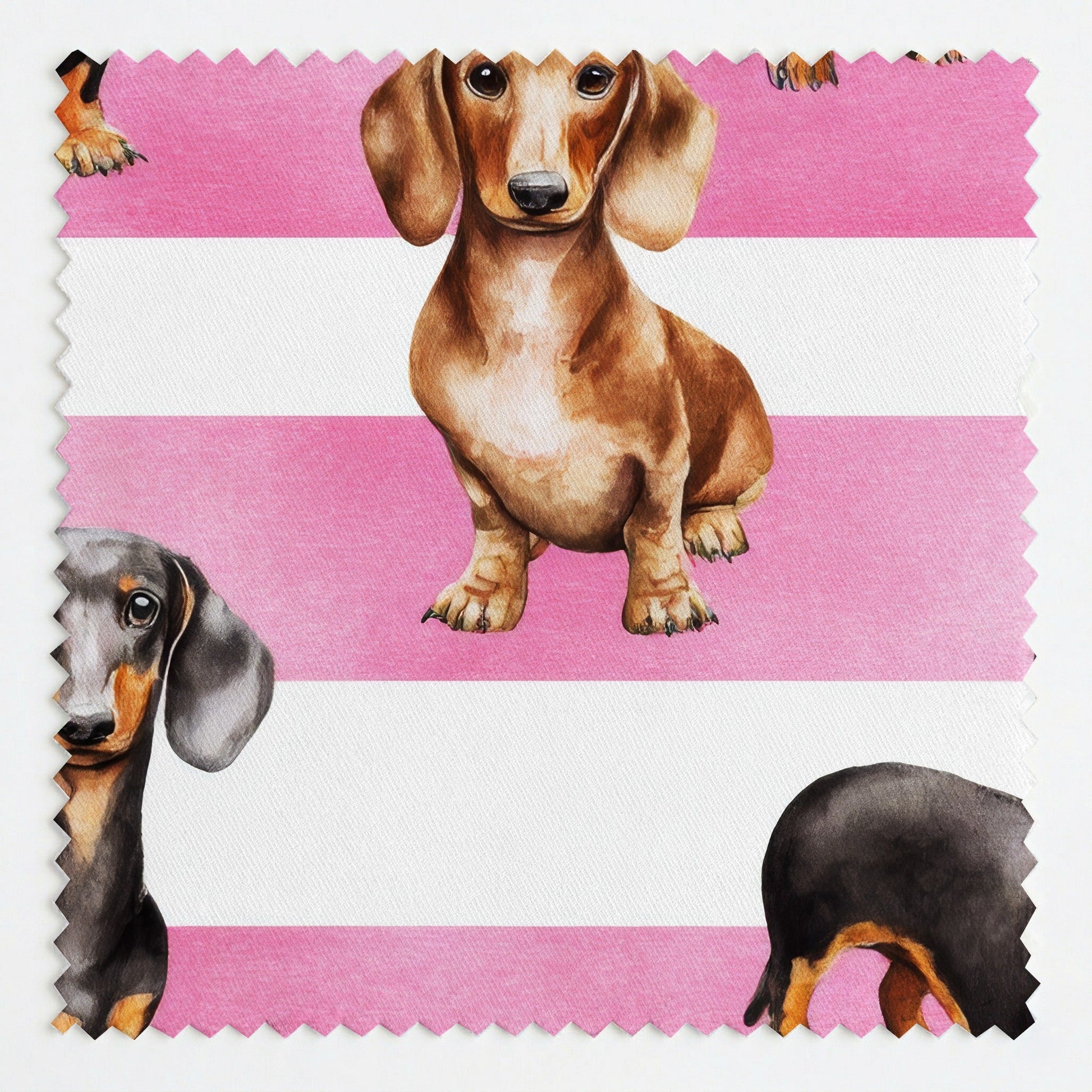 Sassy Stripe Dachshund - Fabric - Linen Rowe